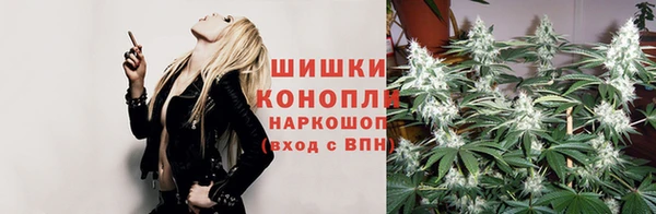 стаф Богданович