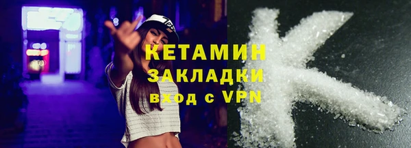 стаф Богданович