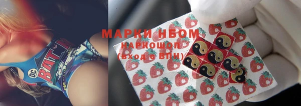 стаф Богданович