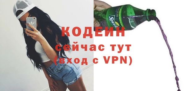 спиды Богородск