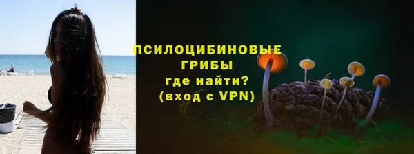 спиды Богородск