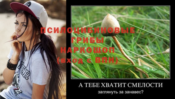 кокаин Белокуриха