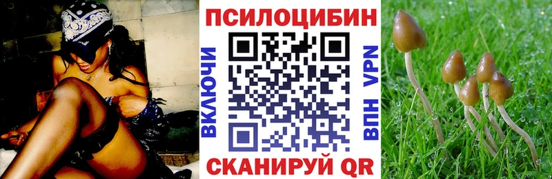 закладки  Дивногорск  Галлюциногенные грибы Magic Shrooms 