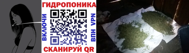 МАРИХУАНА ГИДРОПОН Дивногорск